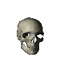 skull gif